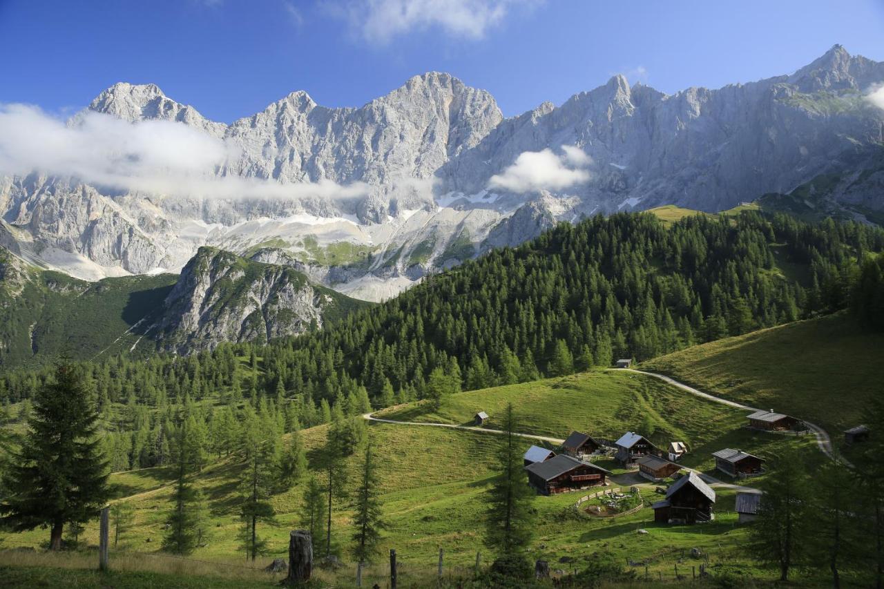 Pension Bergbauernhof Irxner 皮彻尔 外观 照片